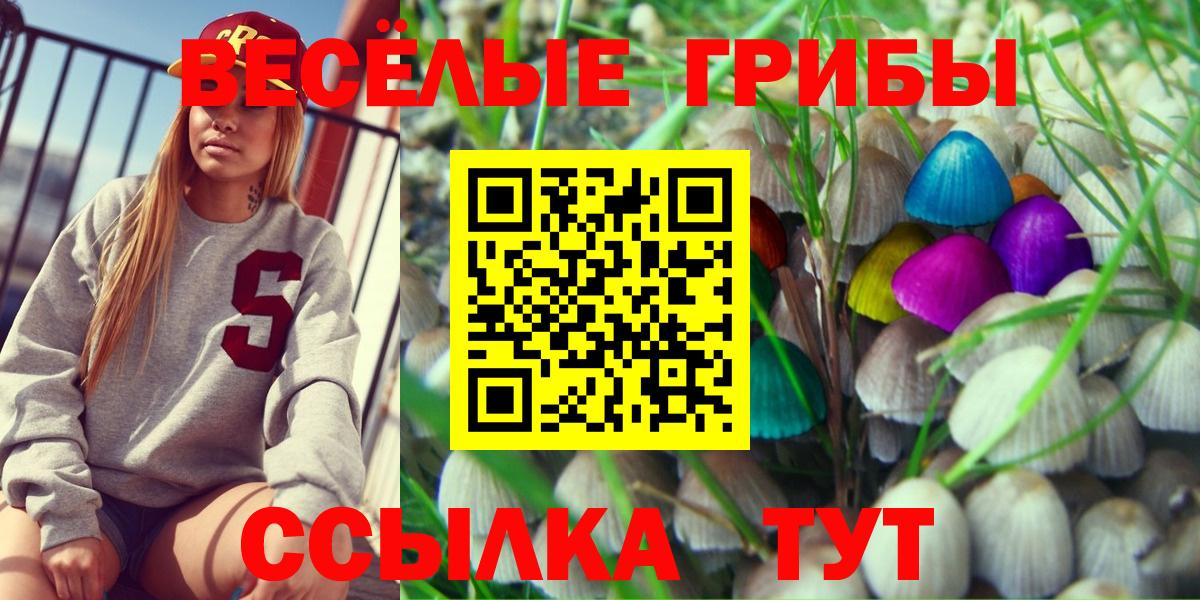 Псилоцибиновые грибы Psilocybe  Псилоцибиновые грибы прущие грибы  Вход с VPN  купить  сайты  Щёлково 