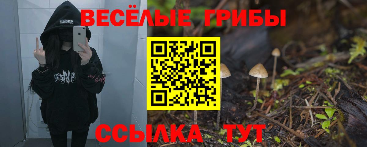 Псилоцибиновые грибы мицелий Щёлково